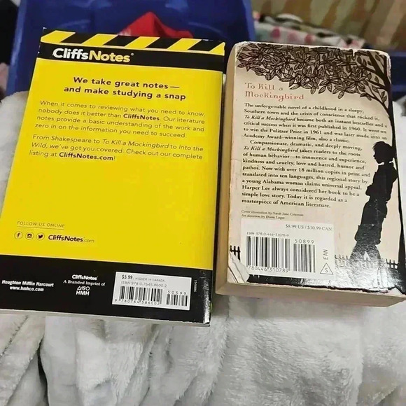 To kill a Mockingbird​ - Picture 4 of 4